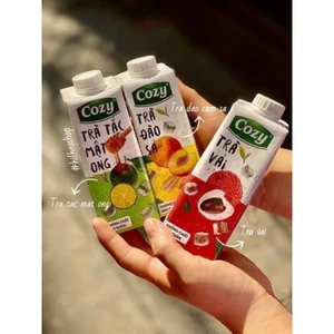 Trà hoa quả Cozy chai 450ml dạng chai nhựa