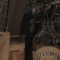 homearies.01