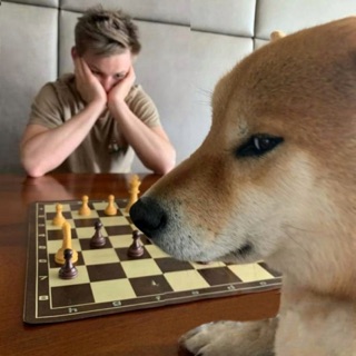 gri20