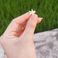 nguyenlee196