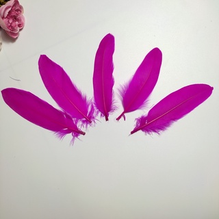 [Hàng đẹp, mới 100%] Lông vũ to 15-20cm nhiều màu, Pinky Shop phụ kiện dreamcatcher, mã LV04