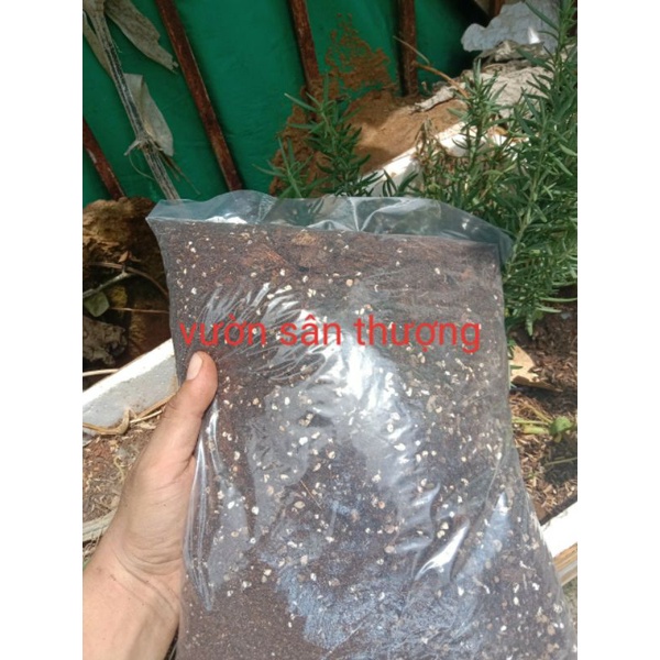 1L Giá Thể Trồng Cây Kiểng Lá Trong Nhà Cao Cấp, Thoát Nước Tốt, Không Cần Trộn