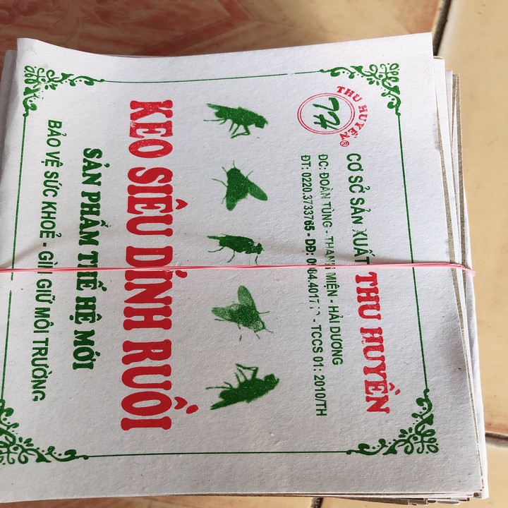 Combo 100 miếng dính ruồi nhiều keo
