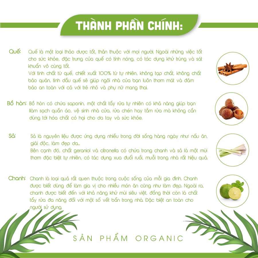 Ảnh Nước lau nhà quế đậm đặc AN AN, đuổi muỗi và côn trùng hiệu quả với dung tích 1000 ml 3