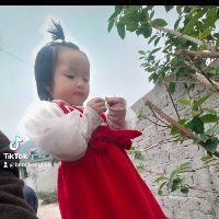 hoang.thihanh