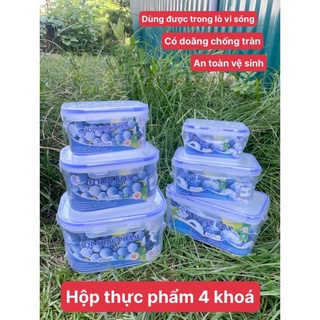 Hộp thực phẩm việt nhật, hộp nhựa đựng bảo quản thực phẩm sét 3 cái