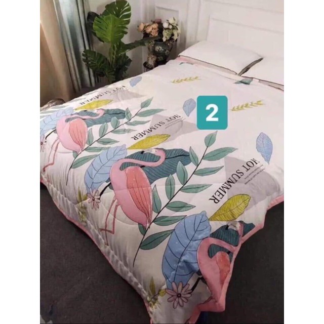 Chăn zara home mới