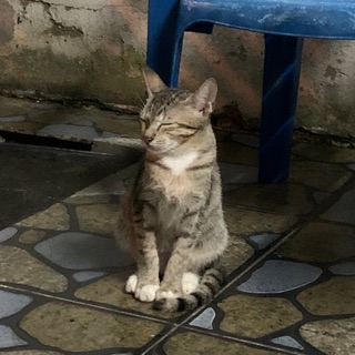 nhatkhanhnguyen16121612