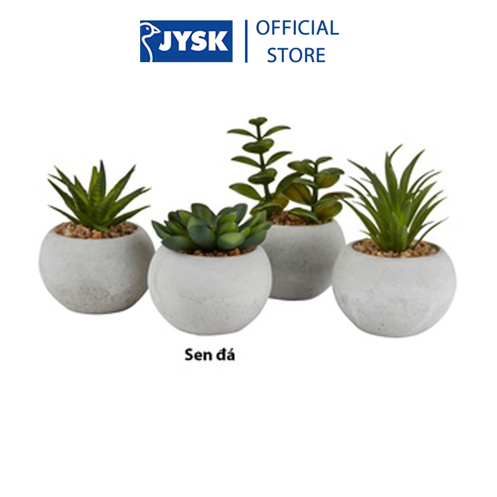 Ảnh Cây hoa trang trí |JYSK Bror | xi măng/nhựa | xanh/xám | DK7xC9cm 2