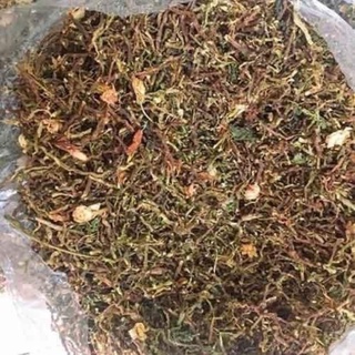 TRÀ SƠN MẬT - HỒNG SÂM 1kg