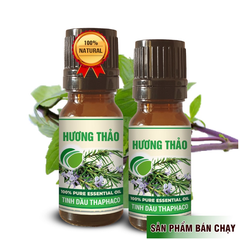 Tinh Dầu Hương Thảo Nguyên Chất 10ml Thaphaco