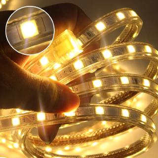 LED SMD 5050 Dải LED 220V Với phích cắm điện EU Dải đèn LED chống nước 220V Chống nước 5050 Dải đèn LED màu trắng ấm Dải đèn LED