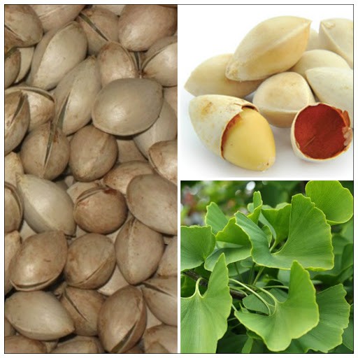 Bạch quả thượng hạng JINDO 1kg hỗ trợ cho người bị di tinh, hen phế quản, bạch đới