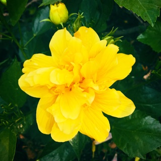diemhuong92_92.