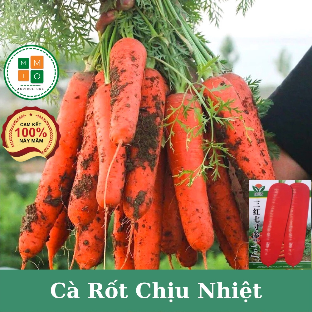 Hạt giống cà rốt chịu nhiệt | Shopee Việt Nam