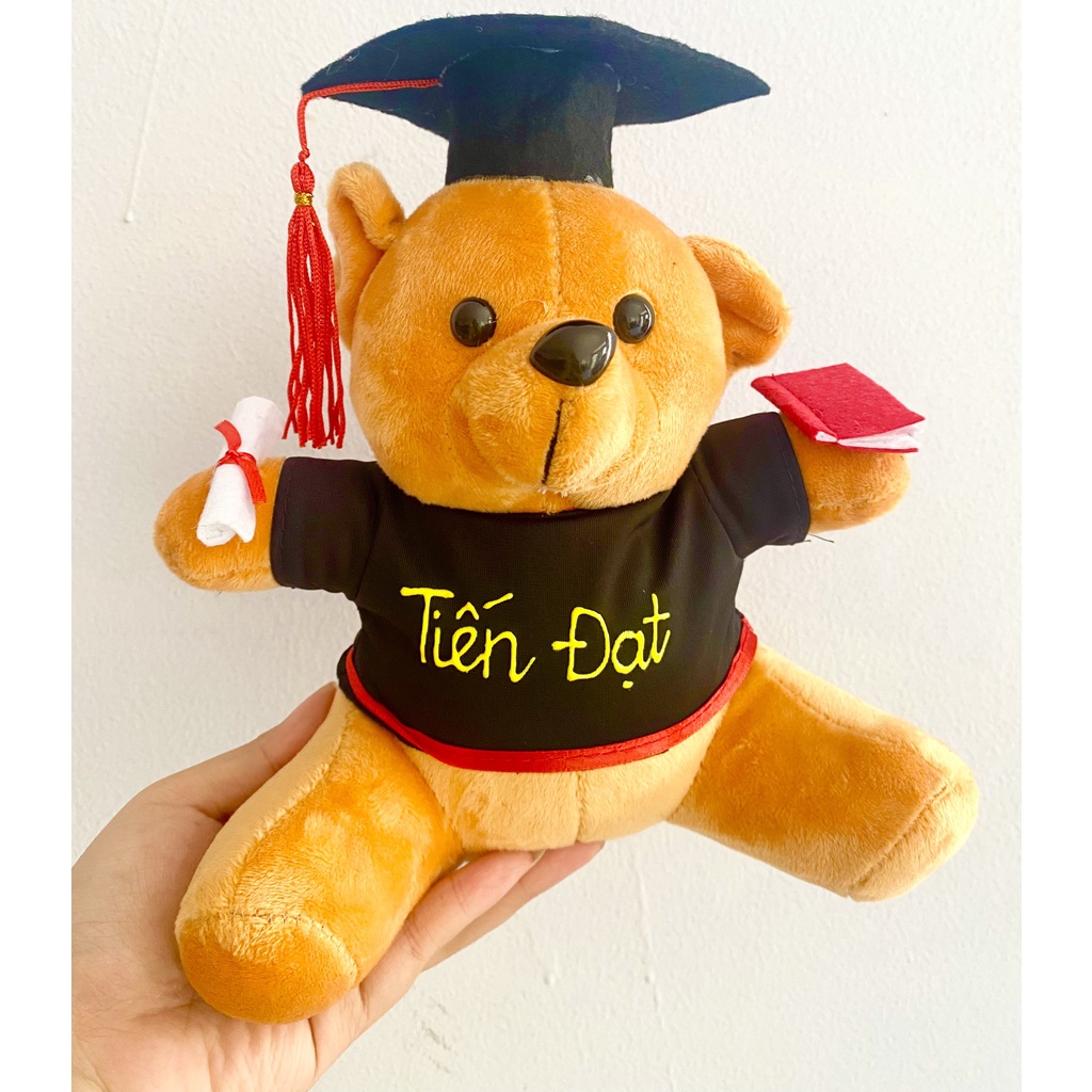GẤU TỐT LÔNG MỊN KÈM TÚI KIẾNG VÀ NƠ
