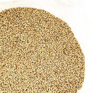 Lúa Mạch Best Wheat Malt Dùng Cho Nấu Bia, Thực Phẩm Dinh Dưỡng, Thức ...