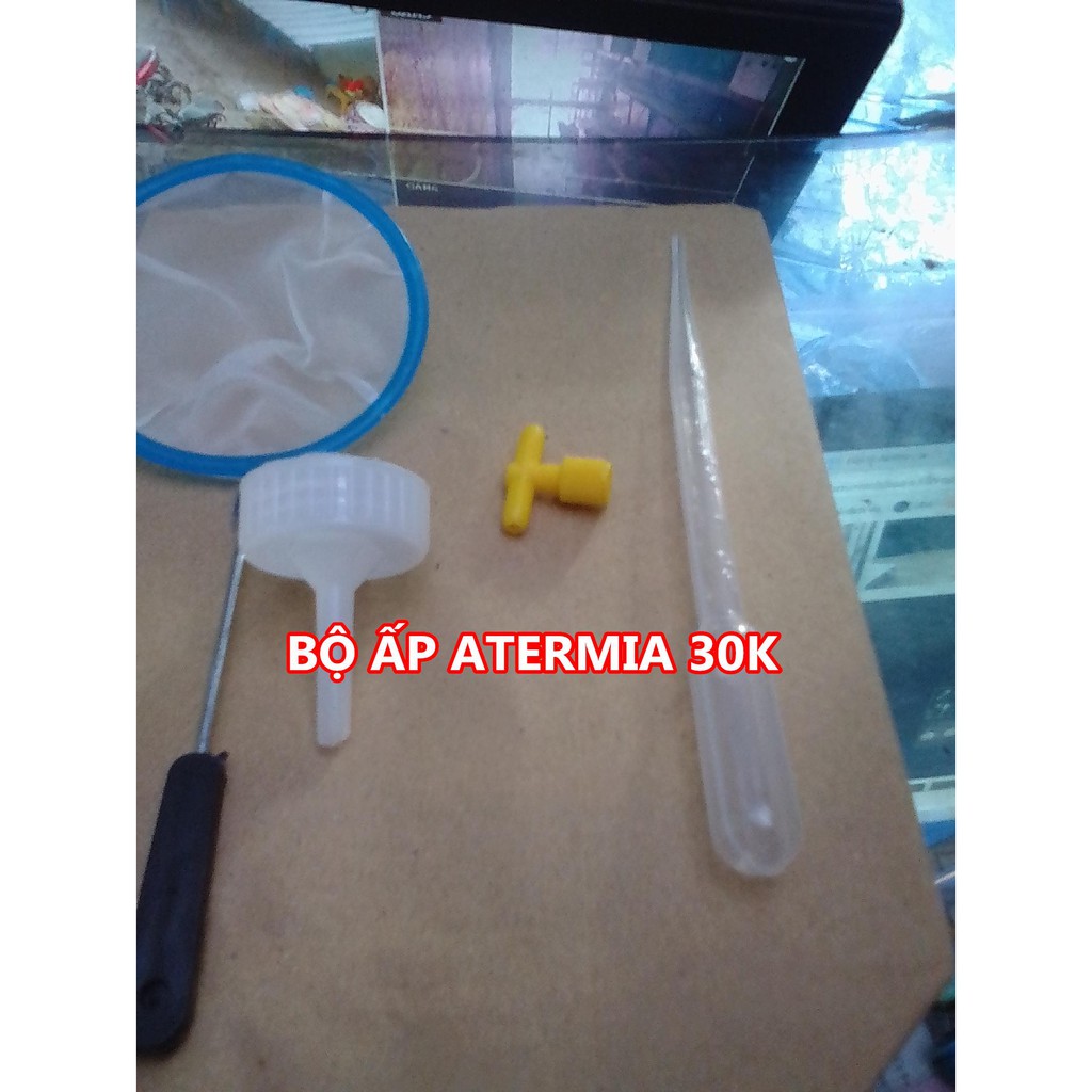 Bộ ấp atermia - Artemia-132