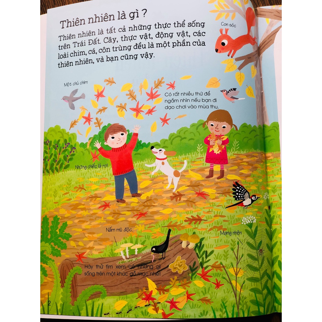 Ảnh Sách - Thế Giới Trong Tay Em ( bộ 5 Cuốn lẻ tự chọn) đinh tị 3