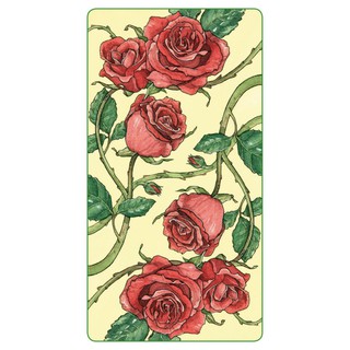 Bộ Bài Romantic Tarot (Mystic House Tarot Shop) - Bài Gốc Authentic Chính Hãng 100%