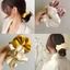 Set 12 kẹp tóc càng cua, thun cột tóc, scrunchies lụa Hàn Quốc nữ đẹp, kẹp tóc 3 5 răng, lô cuốn uốn tóc