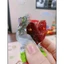 OMAI ĐÀO CAY CHUA NGỌT ĐÀI LOAN 🍒🍒