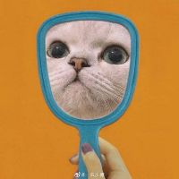 kieuhoangt123