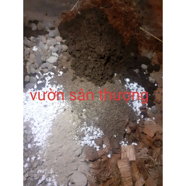1L Giá Thể Trồng Cây Kiểng Lá Trong Nhà Cao Cấp, Thoát Nước Tốt, Không Cần Trộn