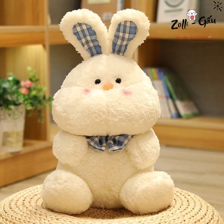 𝐍𝐄𝐖💥Gấu bông dolly - Gấu bông nhập khẩu ngoại