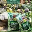 Đất Soil Mix bao 6kg - Giá thể - đất trồng sen đá xương rồng cao cấp, siêu rẻ.