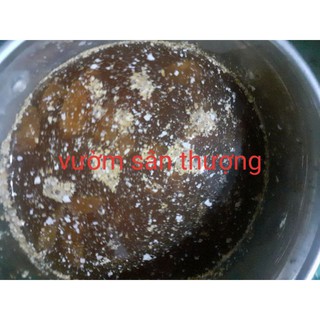 Chai 350ml Ge Thơm Ủ Bằng Rỉ Mật, Phân Bón Giúp Cây Trồng Ngừa Nấm B.ệnh Cho Lan, Mau Lành Vế.t B.ệnh