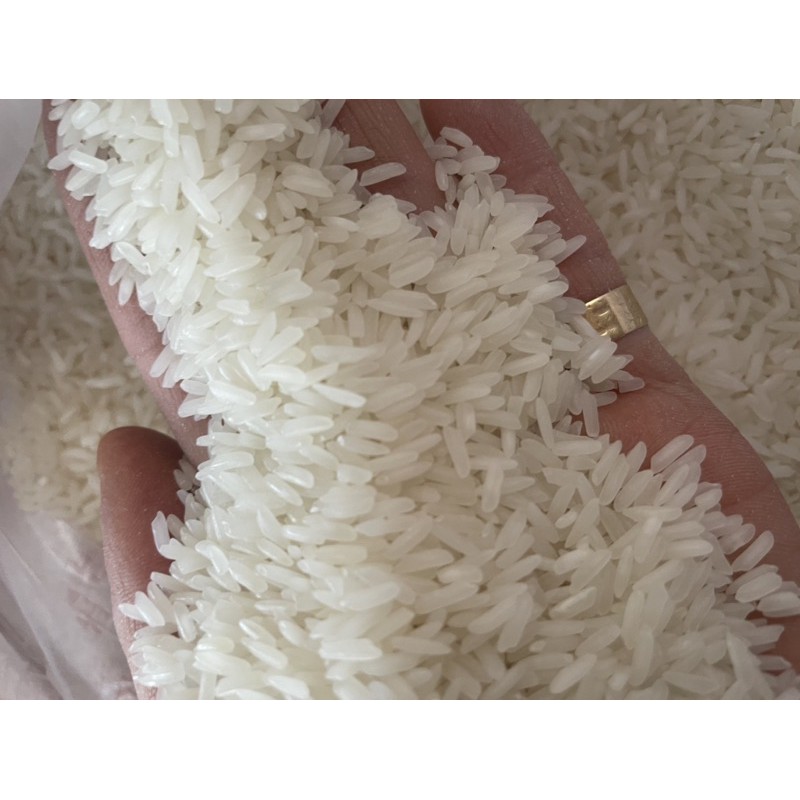 Gạo Thơm Thái Lan Băng Kok (Bao 10 ký )