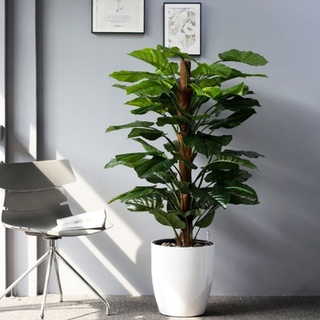 Cây giả - cây trầu bà leo giả 1m6, 63 lá (loại 1) decor, trang trí nhà cửa, văn phòng