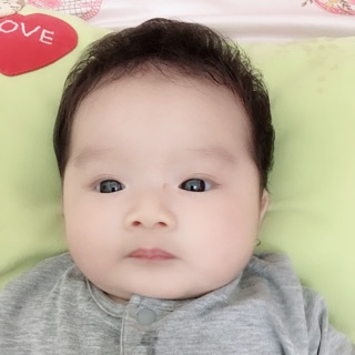 dautay1310