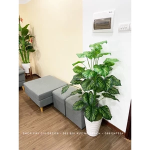 CÂY GIẢ - CÂY TRẦU BÀ LÁ SỌC CAO 1.1m/1.3m Freeship