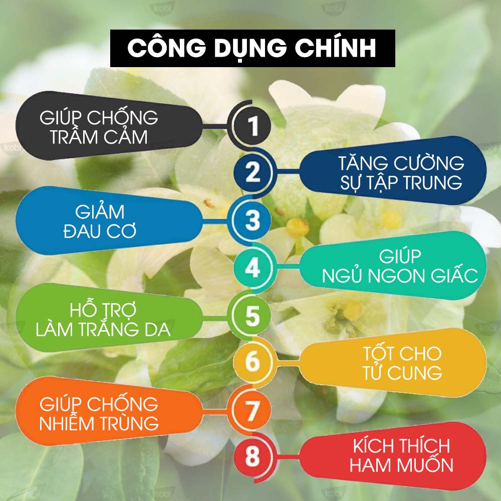 Ảnh Tinh dầu Hoa Nhài Kobi Jasmine essential oil giúp thơm phòng, giảm stress hiệu quả - 5ml 3