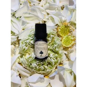Tinh dầu Pơmu nguyên chất 10ml - Laturelle - Tinh dầu thơm, làm đẹp và xông phòng