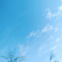 hoai_thanh2211