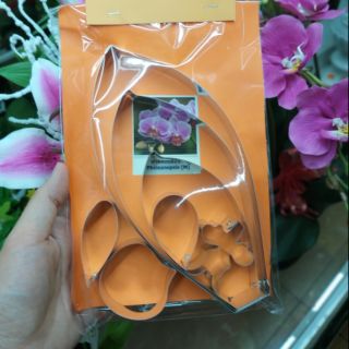 KHUÔN LAN HỒ ĐIỆP ( SIZE L)