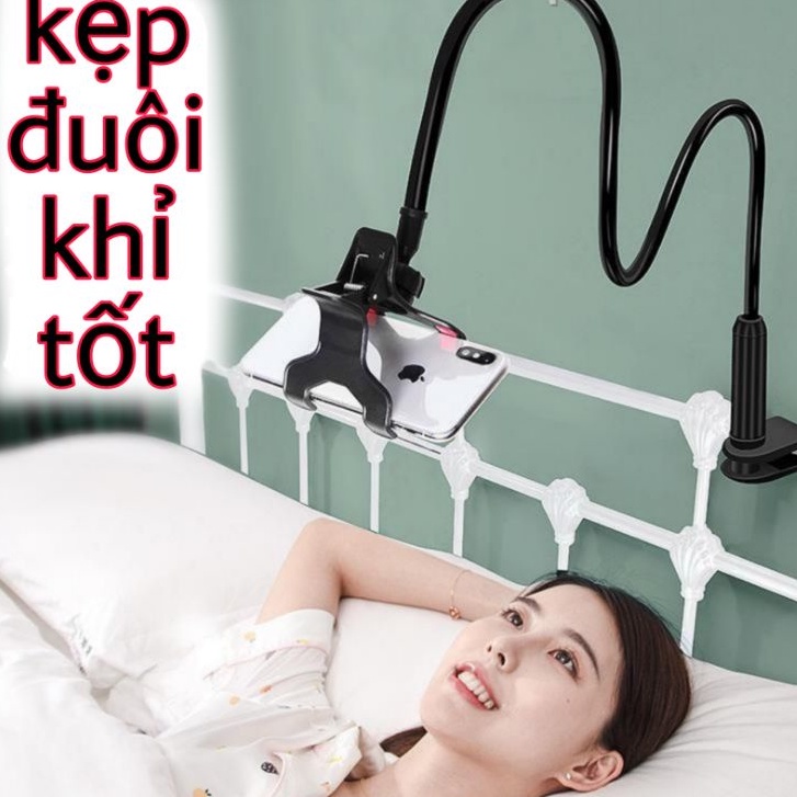 🌟KẸP LOẠI 1 🌟kẹp điện thoại, KẸP BÀN đuôi khỉ loại tốt - MÀU NGẪU NHIÊN