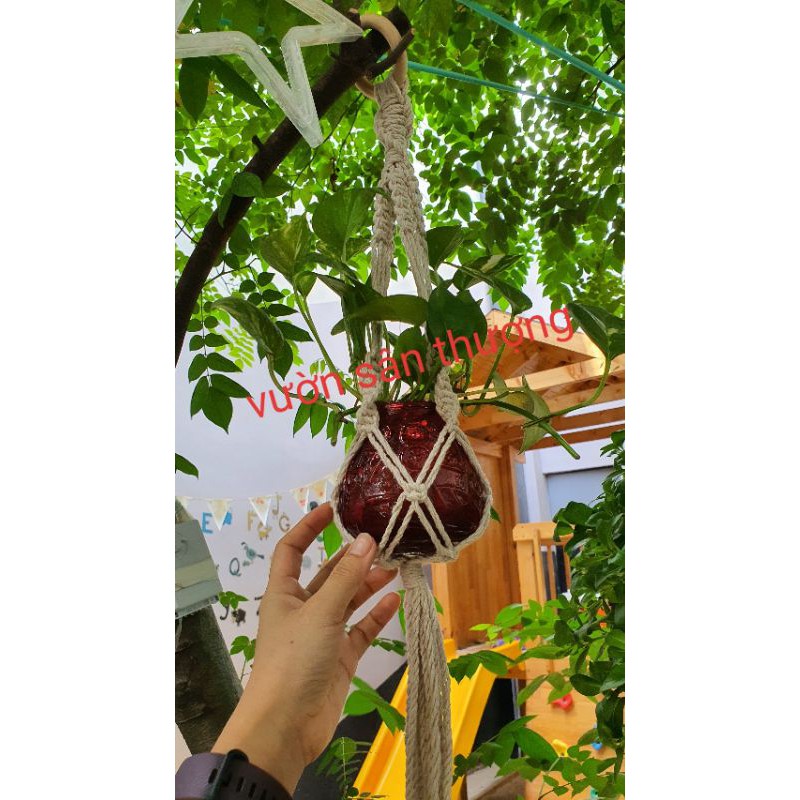 1 m Dây Thừng Macrame, Làm Chậu, Trang Trí Ấn Tượng, Cắt Theo M Tới