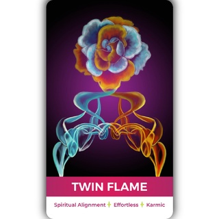 Bộ Bài Amira's Love Oracle (2022 Edition) (Mystic House Tarot Shop) - Bài Gốc Authentic Chính Hãng 100%