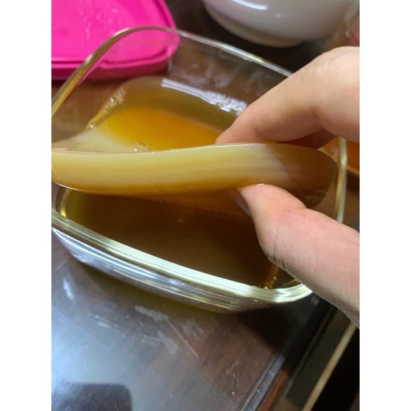Combo Scoby Và Nước Mồi Làm Trà Kombucha - An Toàn, Tốt Cho Sức Khỏe 🔸 Anna Home