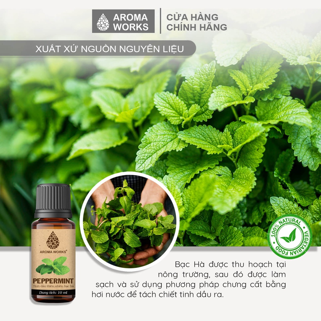 Mô tả Tinh Dầu Bạc Hà Aroma Works tinh dầu thơm phòng, đuổi muỗi - Peppermint - 1