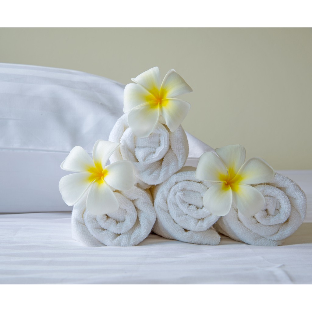 Khăn bông Khách sạn cao cấp 2 màu 60*120cm ICVCVN