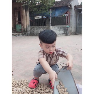 Áo sơ mi kẻ bbr cộc tay mùa hè cho bé trai từ 1- 6 tuổi ( 6-22kg) phương kid
