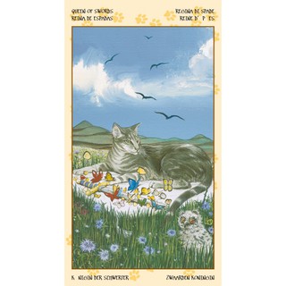 Bộ Bài Tarot of Pagan Cats (Mystic House Tarot Shop) - Bài Gốc Authentic Chính Hãng 100%