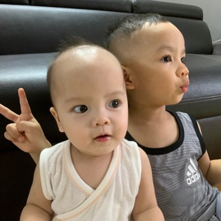 bluepig_2791