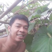 vinhfarm