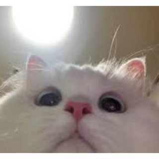 embeaan